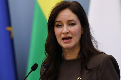 В Литве назвали ответственных за упавший в стране дрон