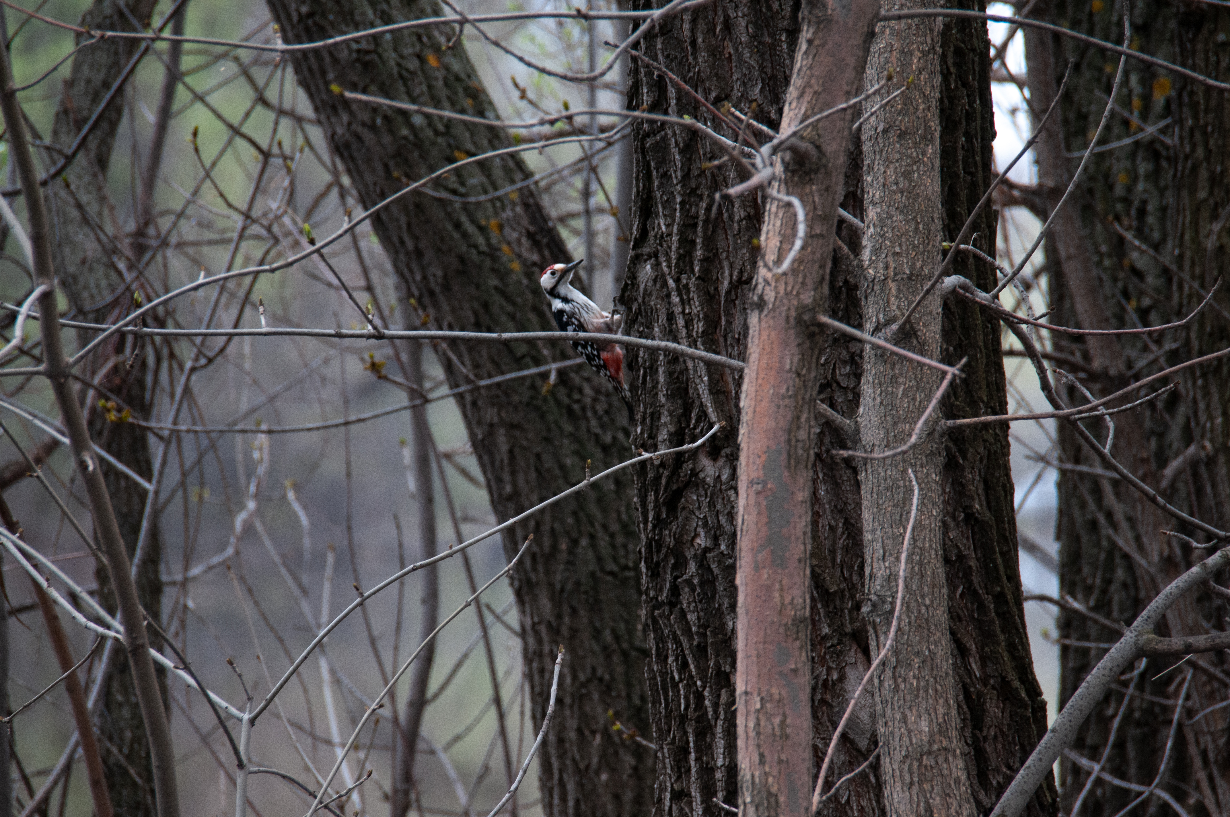 �����&nbsp; � ������ ����������� ������ ����