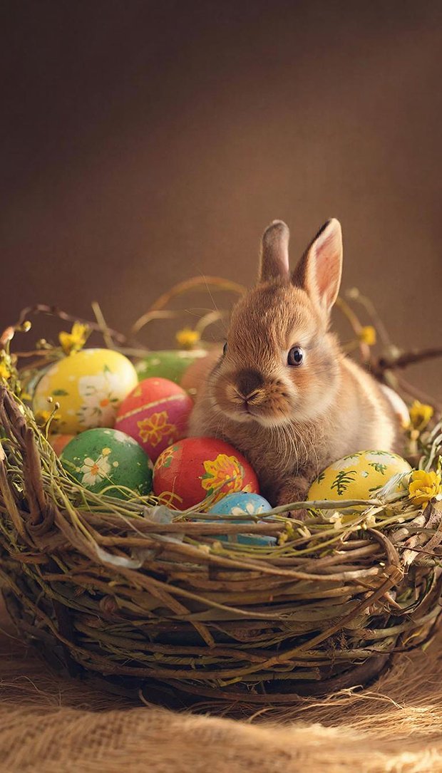 Заставка на телефон с пасхальным зайчиком в корзинке