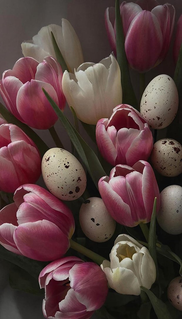 Тюльпаны и пасхальные яйца, обои для телефона вертикальные