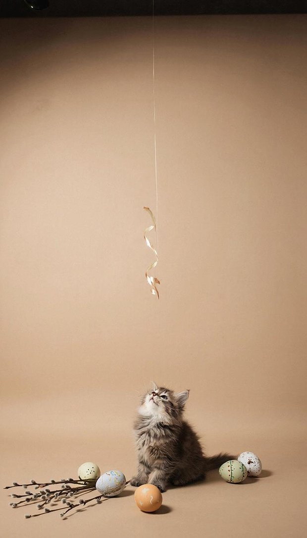 Вертикальная картинка на тему Пасхи, обои для смартфона