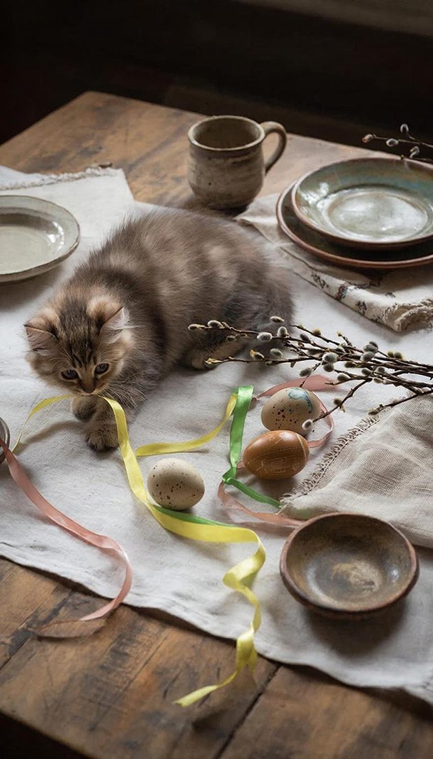 Пасхальный стол, обои для телефона с котом