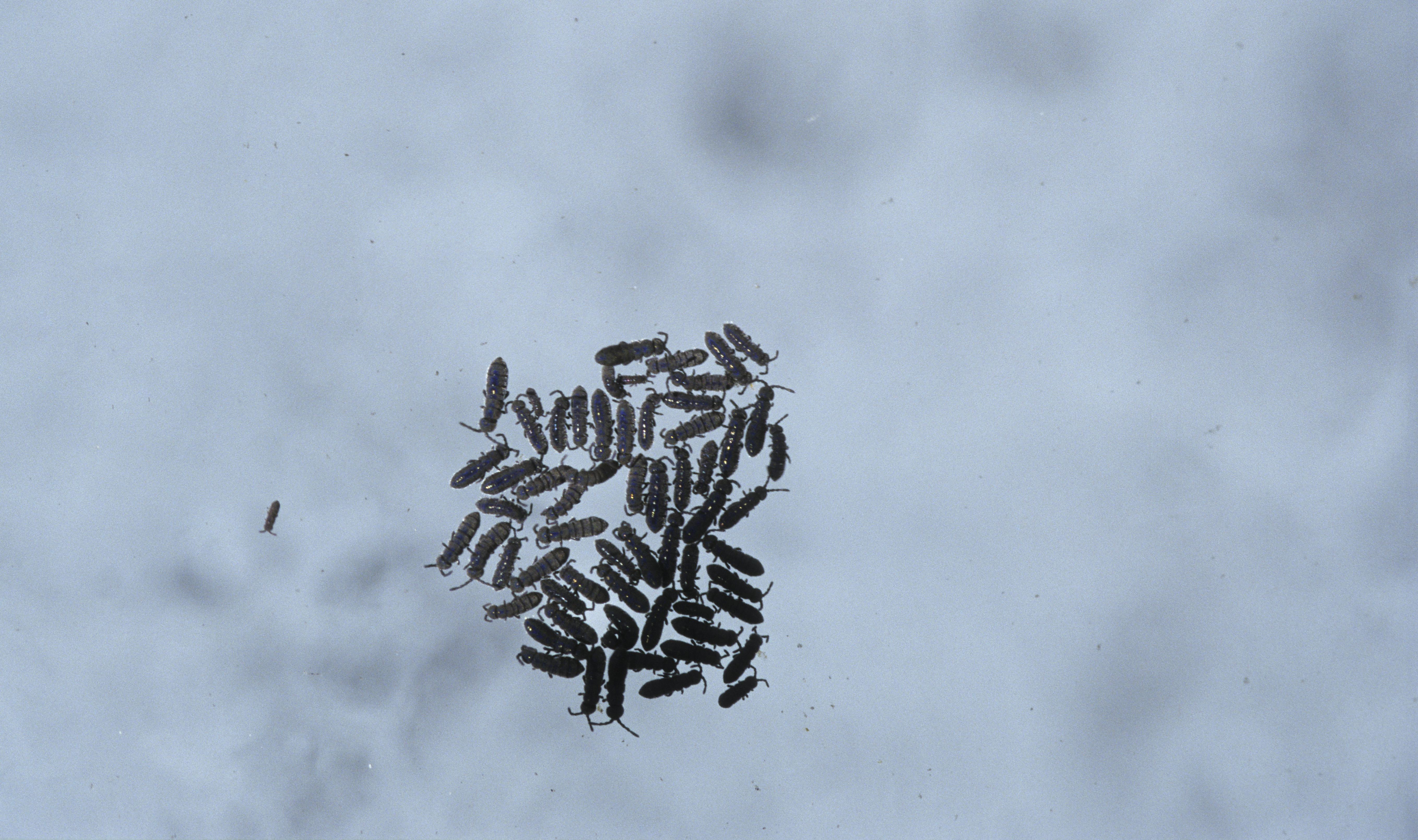 �&nbsp; ���������� ������� ���������� ������� ����