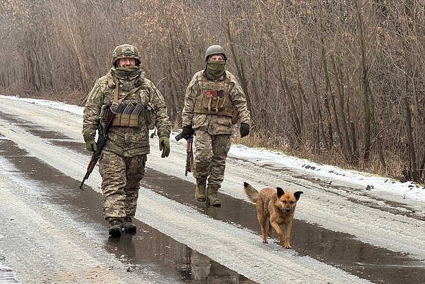 Вводная картинка