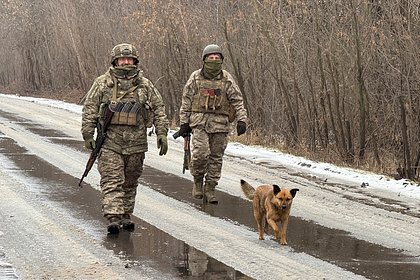 На Украине назвали последствия для ВСУ в случае нового наступления