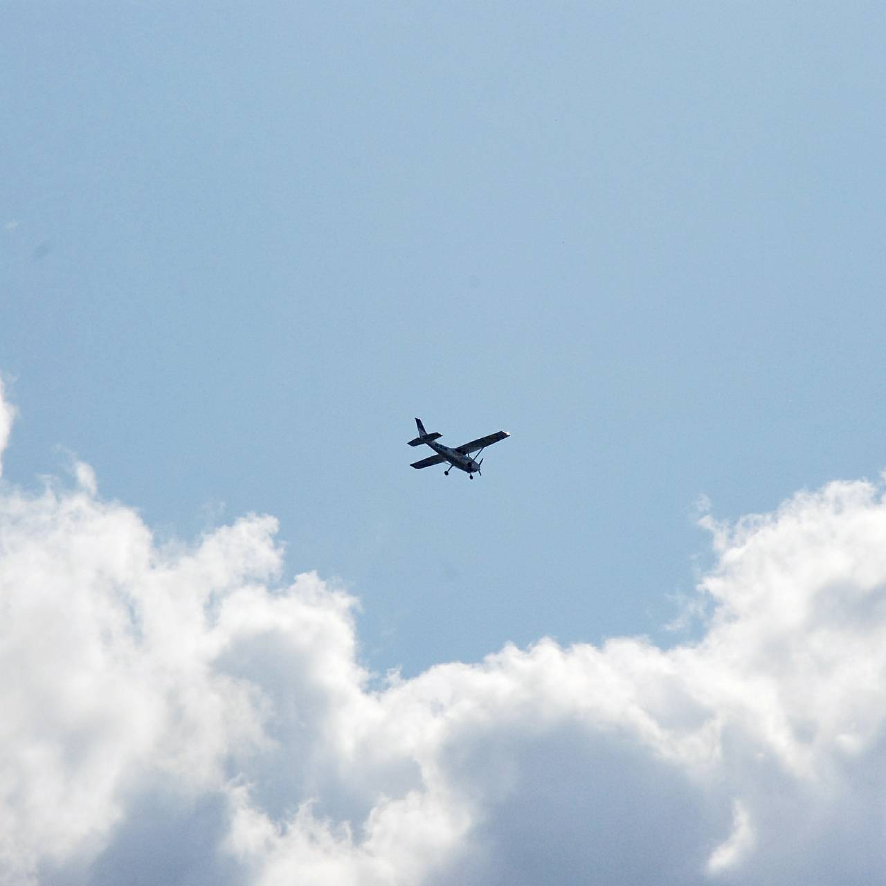 В Ленинградской области сбили беспилотник