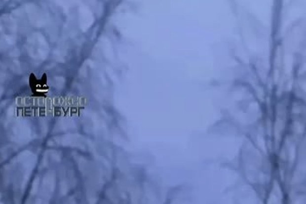 Вводная картинка