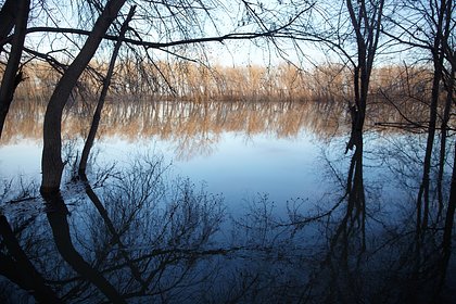 Названы регионы России с опасным уровнем воды в реках