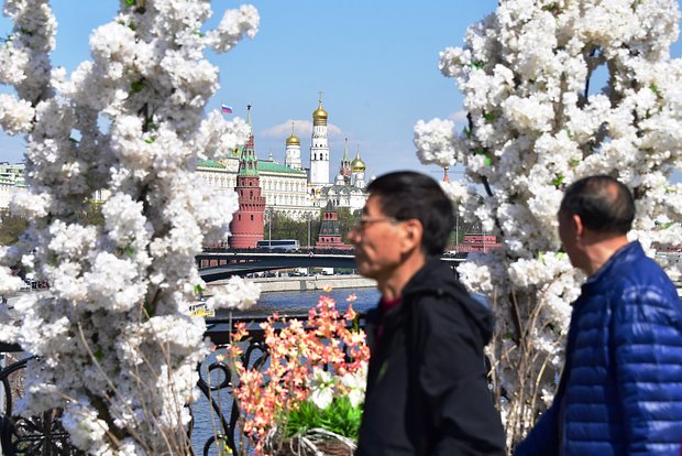 Вводная картинка