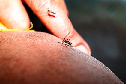 Туристов предупредили о вызывающей кровоизлияние в мозг опасной болезни в 16 странах