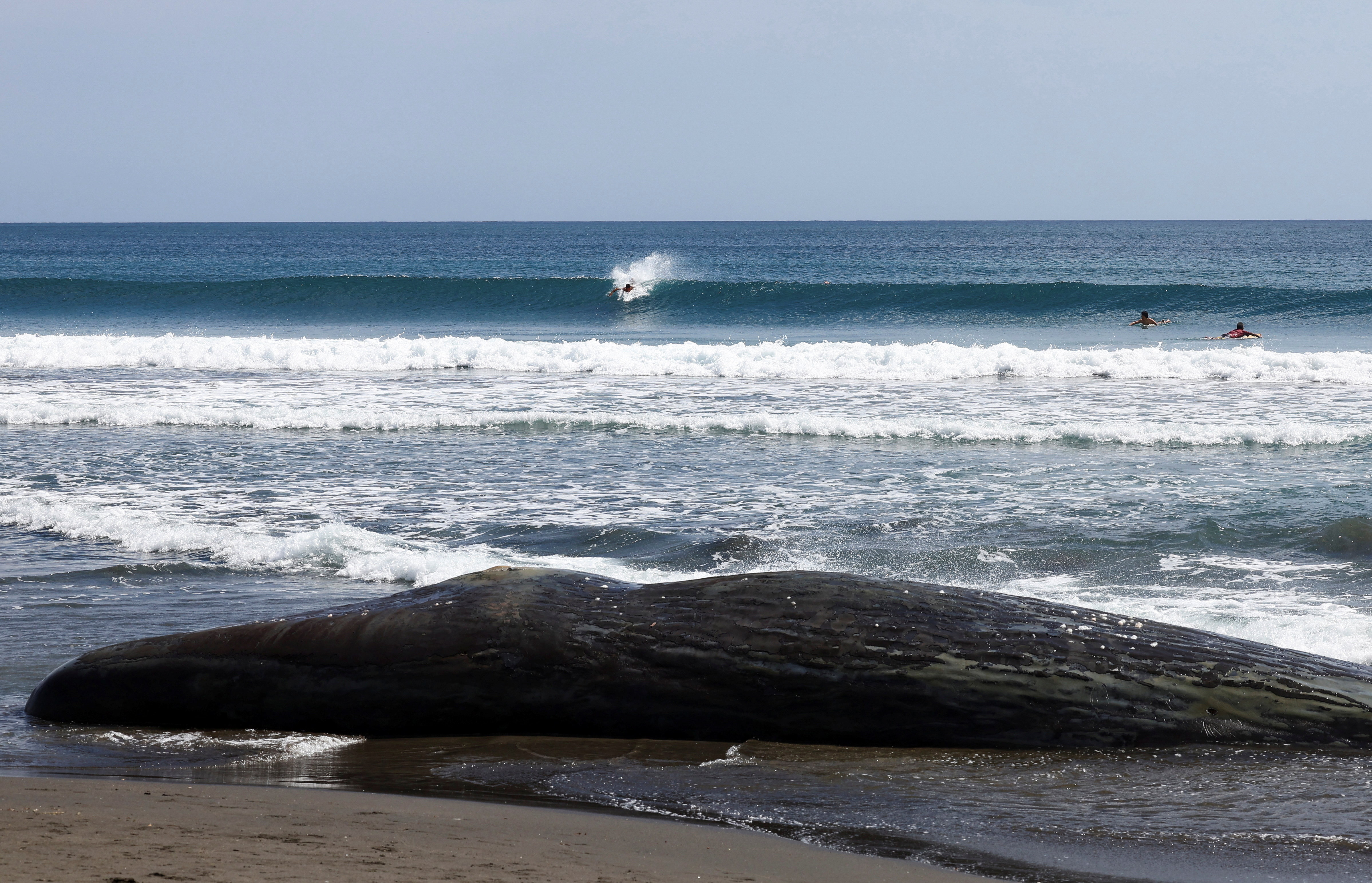 ����������&nbsp; ��� �������� � ����������� ������� � ���������� ����