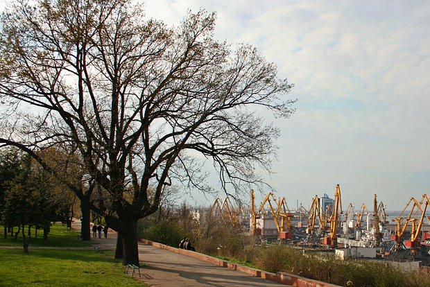 Вводная картинка