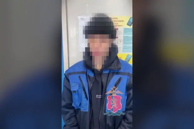 Вводная картинка