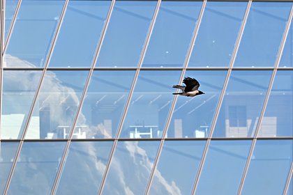 В небе над Ираном заметили беспилотную &laquo;птицу&raquo;