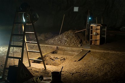 Молодой ученый случайно нашел кость древнейшей собаки