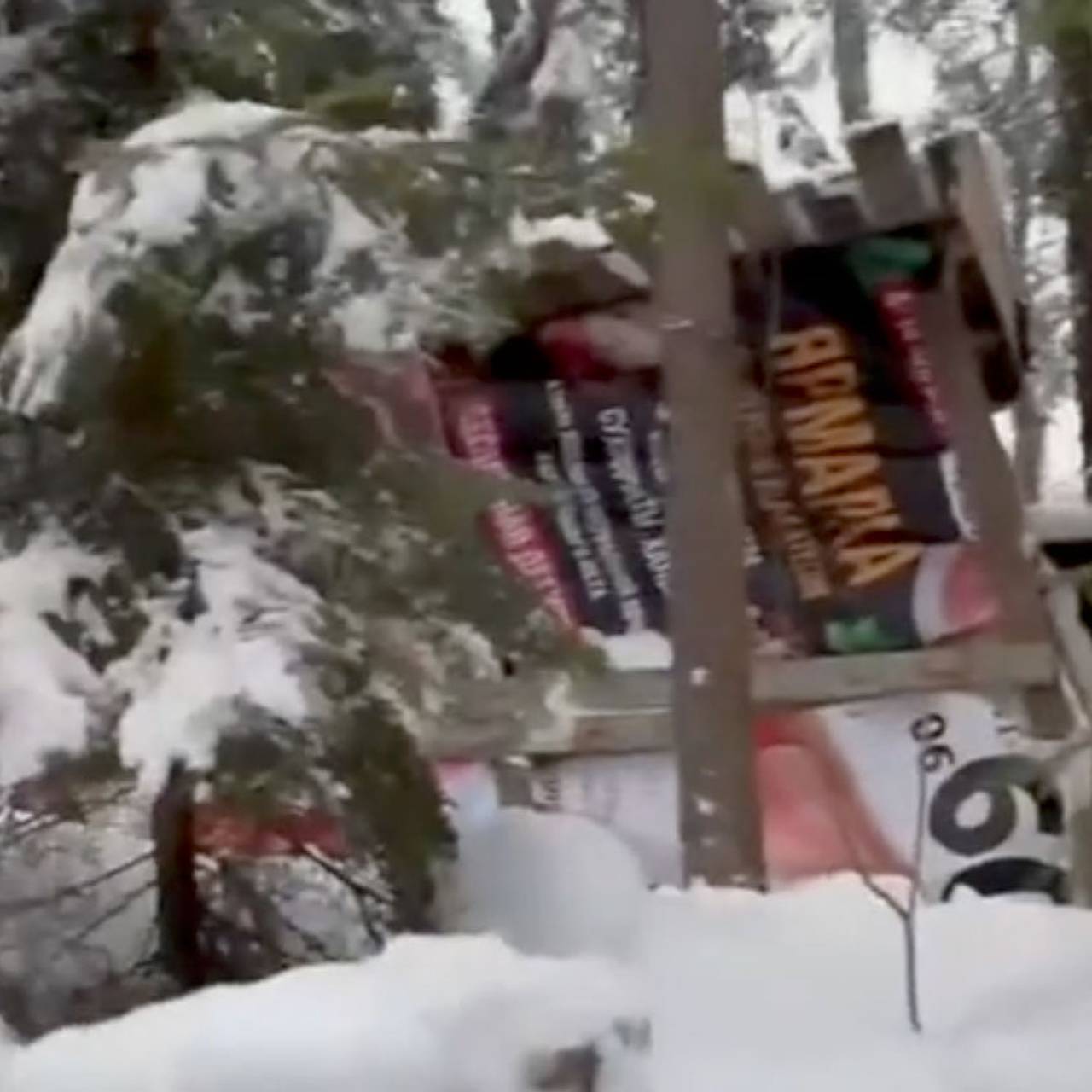 Хижина прожившего в тайге восемь лет беглого россиянина попала на видео