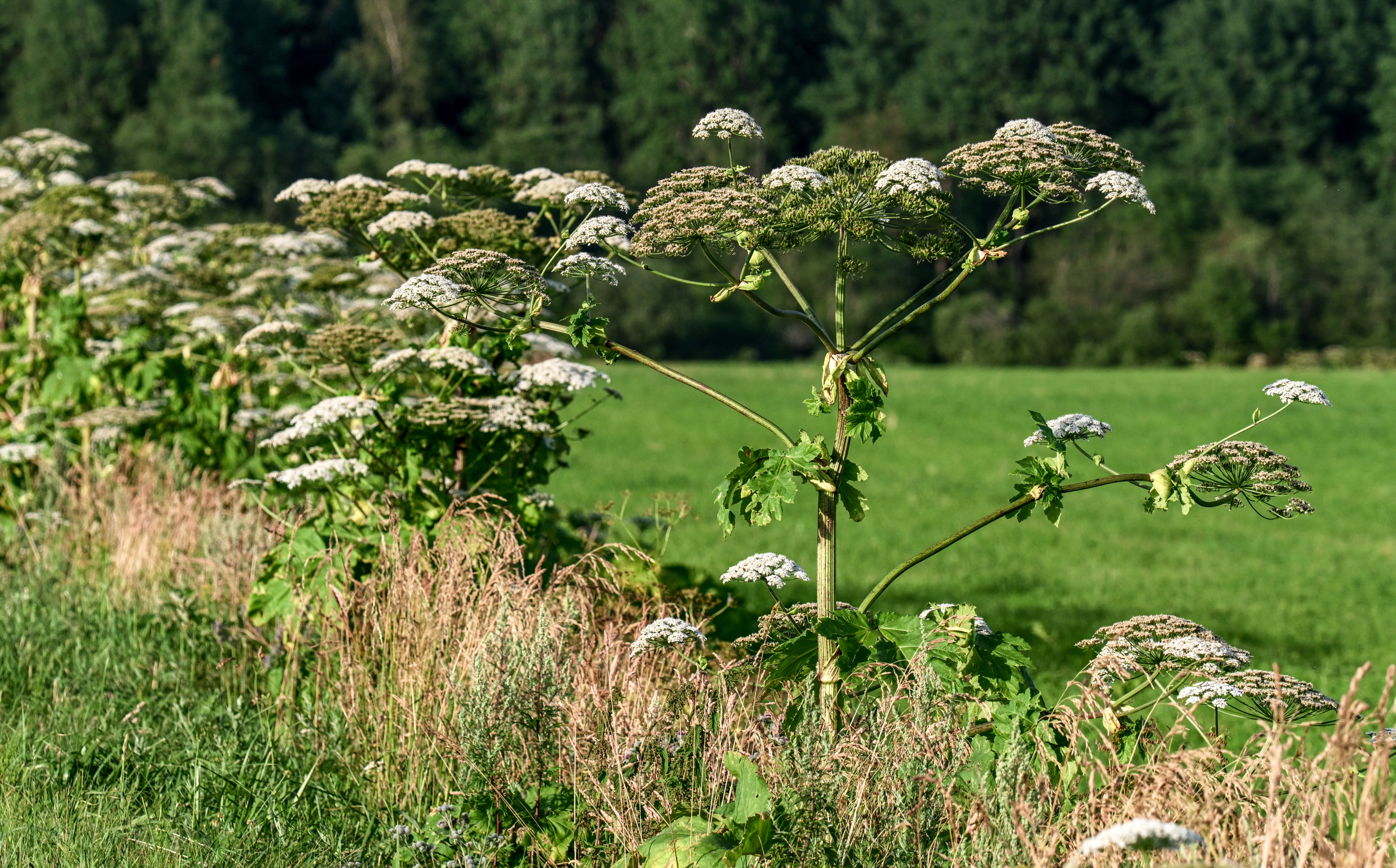 �����&nbsp; ���������� ��������� ��� ������� ���������� �������