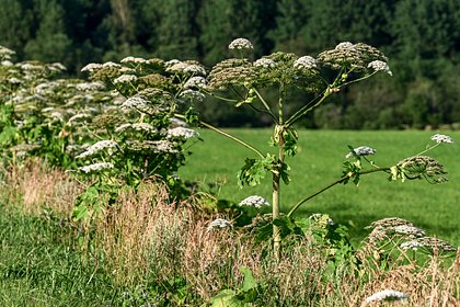 Юрист опровергла основание для изъятия земельного участка