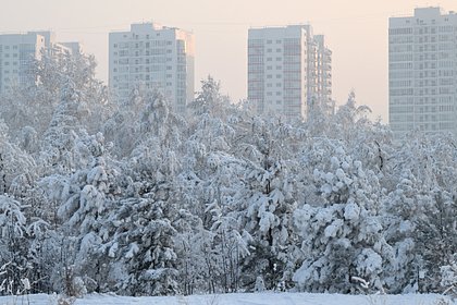 Изменения семейной ипотеки привели к противоречивым последствиям