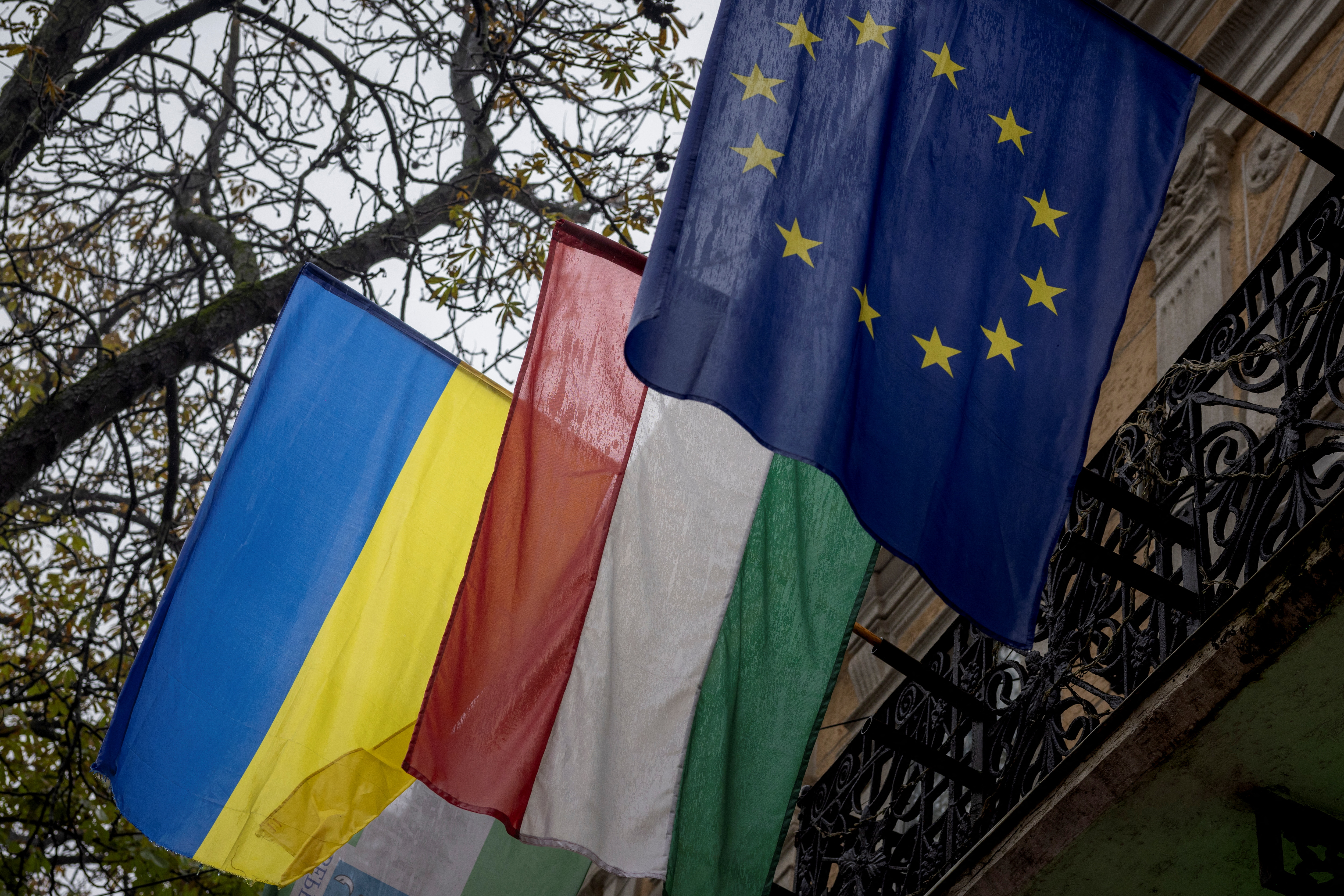 �&nbsp; ��� �������� ������ ������� ������ ������� ��-�� ������ �������