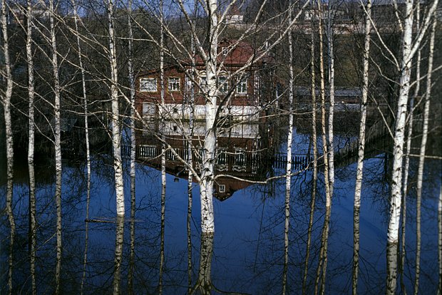 Вводная картинка