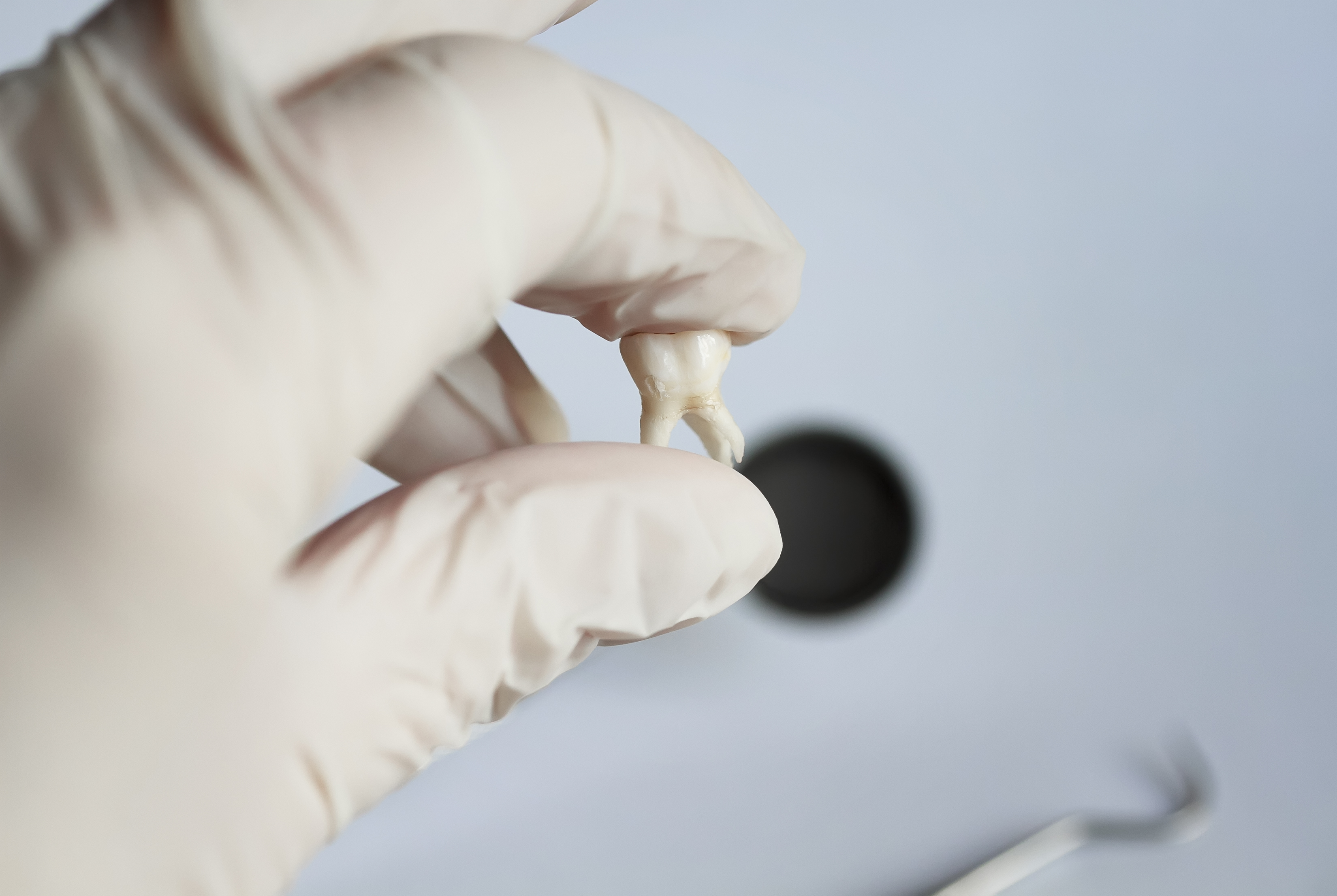 �������&nbsp; � ���� � �������� ����� �������� ���� ���������� �������� �� ������