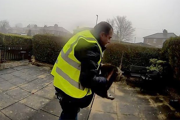 Вводная картинка