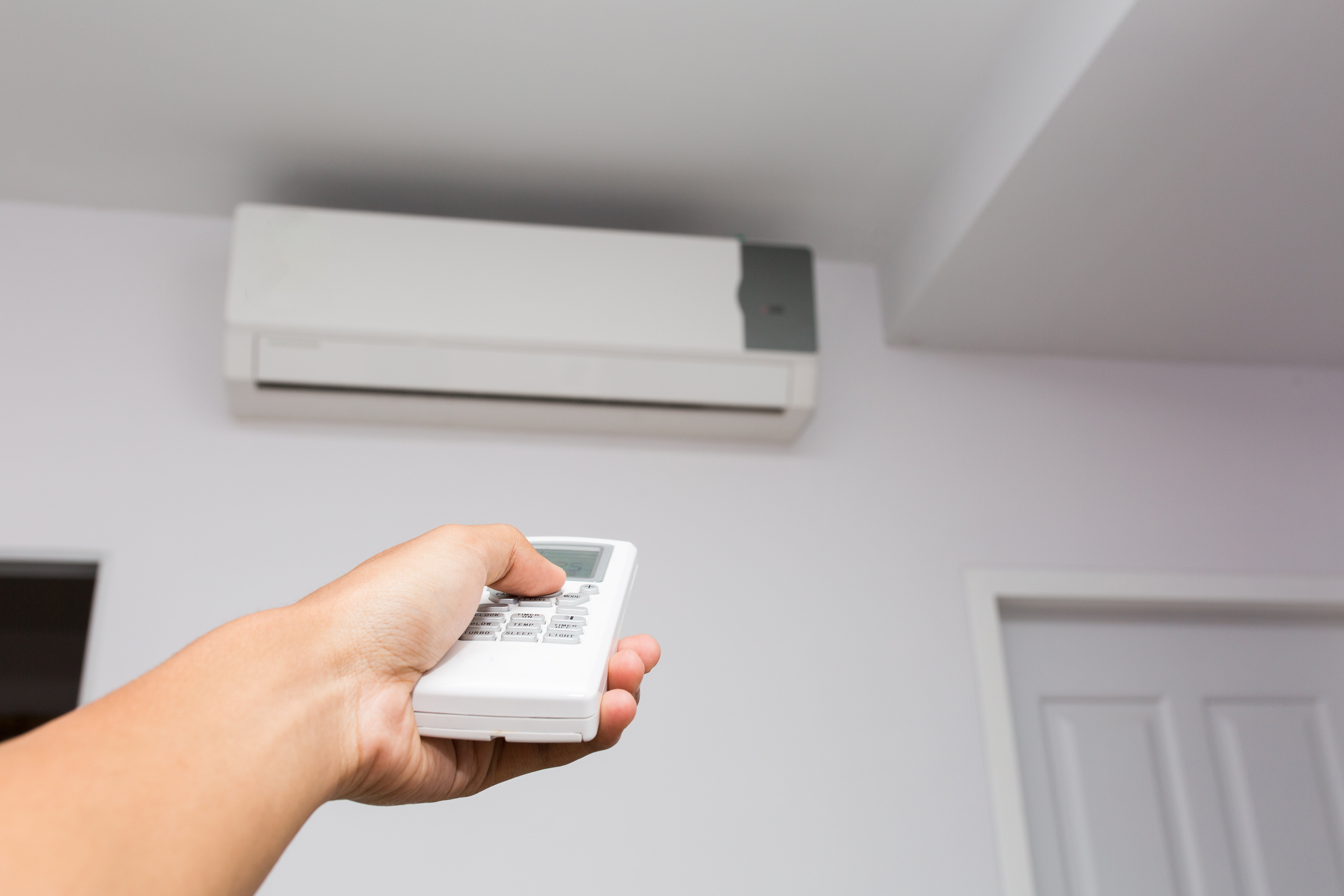 �������&nbsp; ������������ � ������ �� �����������