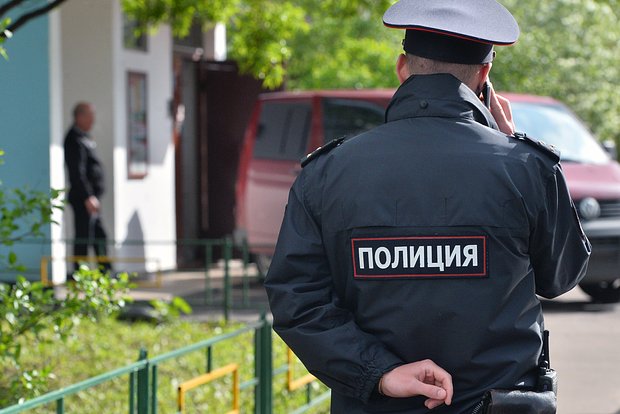 Вводная картинка