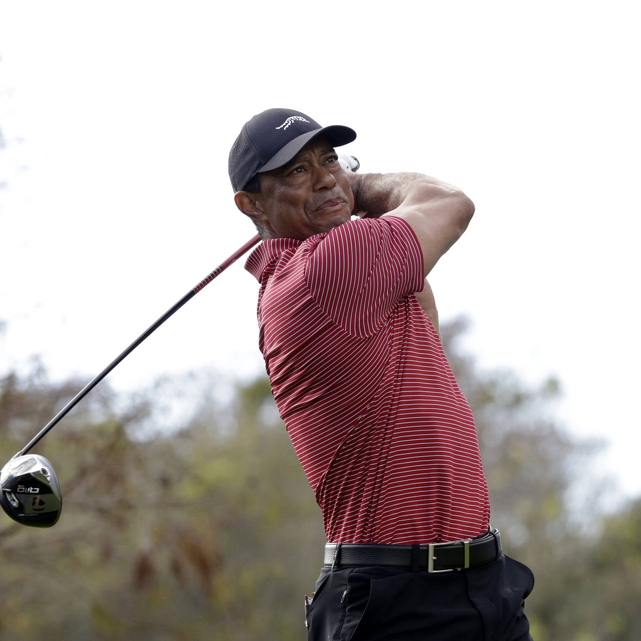 В США арестован гольфист Тайгер Вудс. За что одного из самых богатых спортсменов мира отправили в тюрьму?