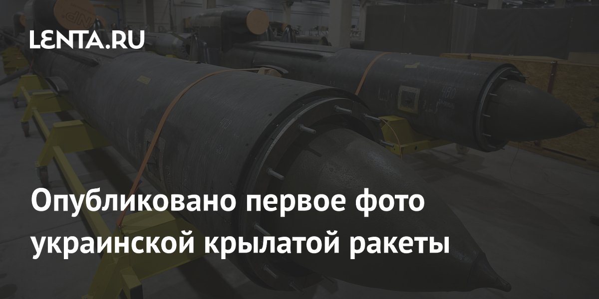 Опубликовано первое фото украинской крылатой ракеты