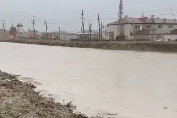 Вводная картинка