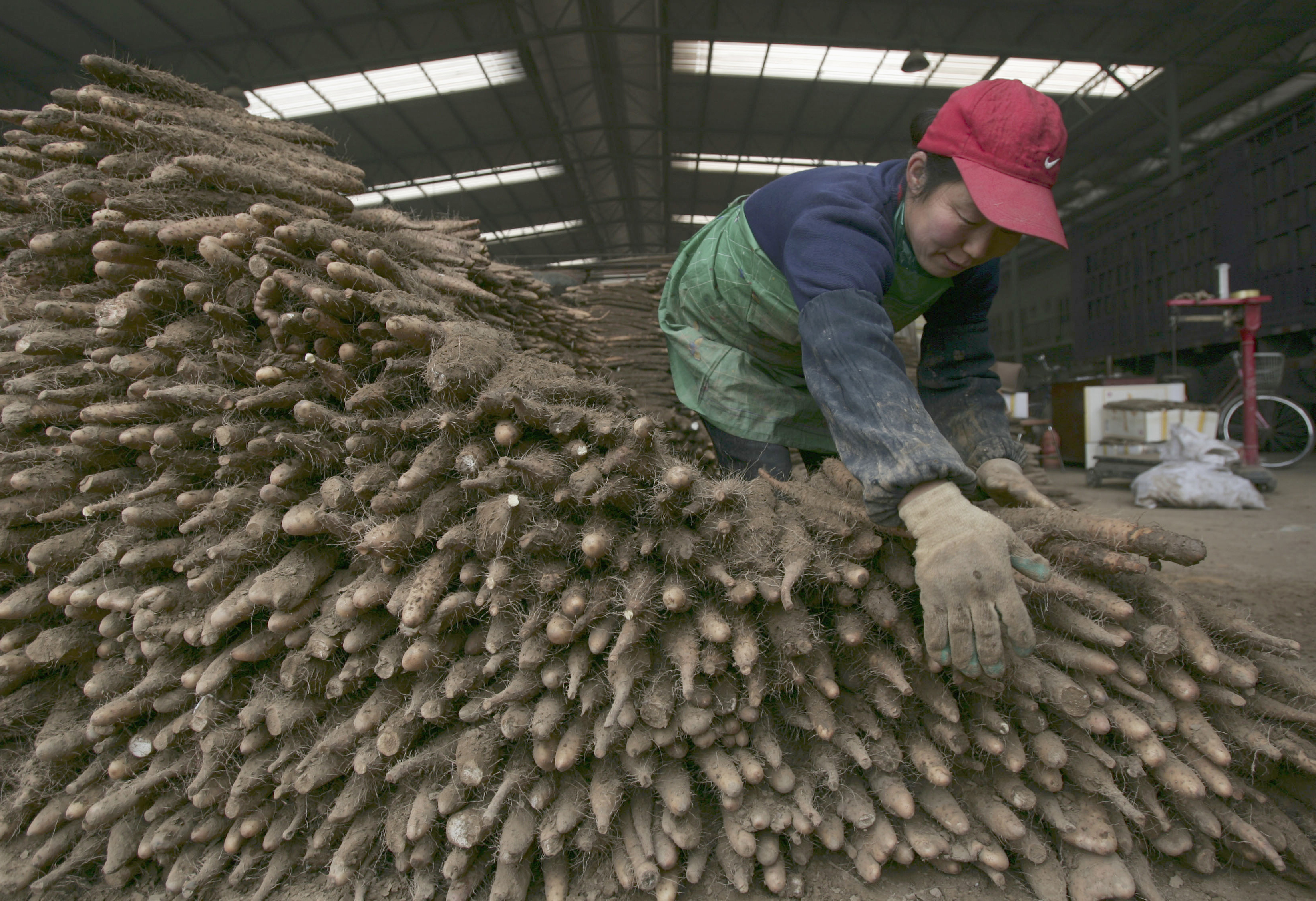 ������&nbsp; ������ ������ ������� �� ����� ����� �� �������