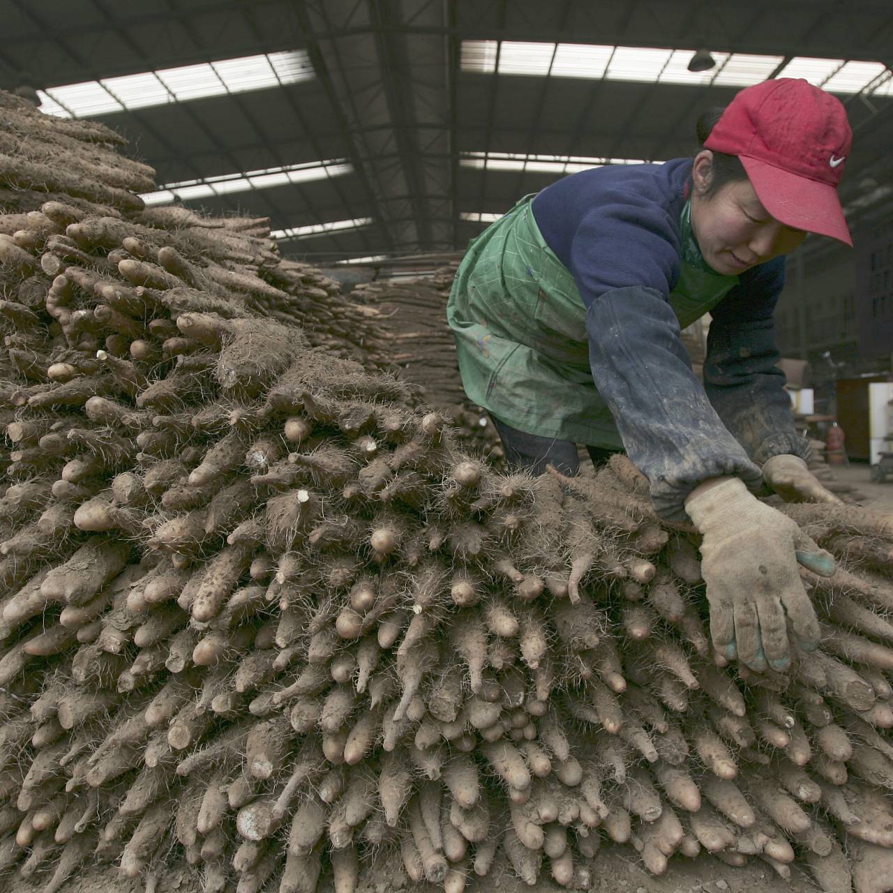 Фермер сделал жуткую находку во время работ на участке