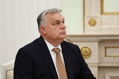 В Германии обратились к Орбану с дерзким предложением по Украине