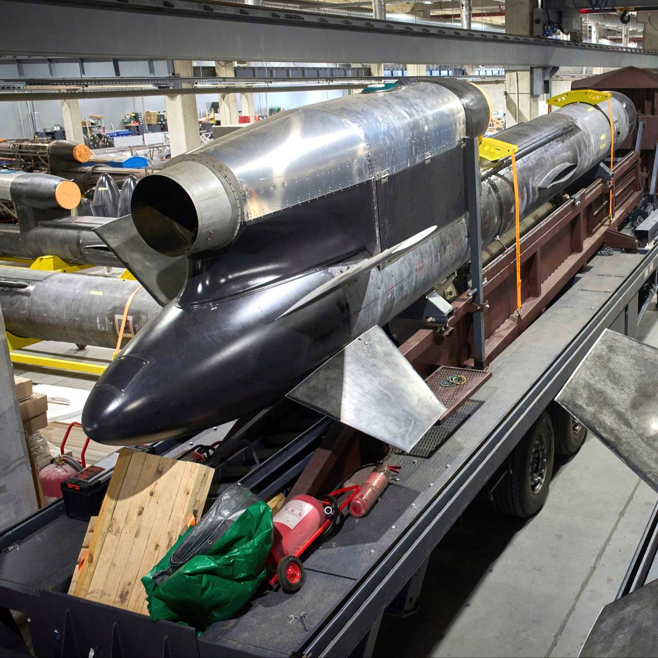 Военный раскрыл особенности атакованных Россией украинских ракет &laquo;Фламинго&raquo;