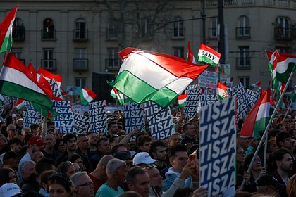 Зеленского обвинили в постоянном финансировании венгерской оппозиции