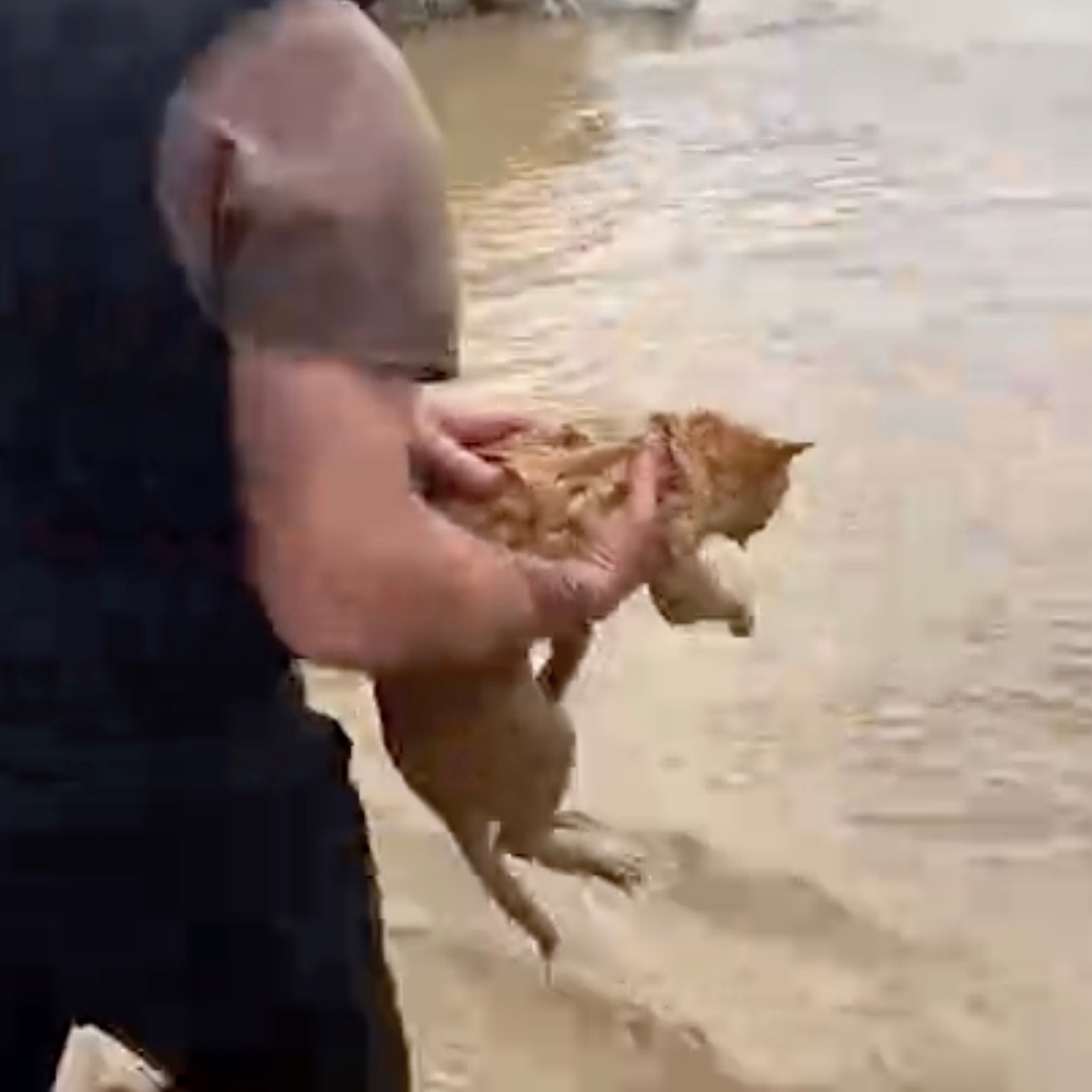 ��������&nbsp; ���������� ������� � ��������� �������� ������ �� �����