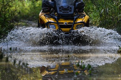 Туристка выпала из квадроцикла на полной скорости и осталась с «похожим на фарш» лицом