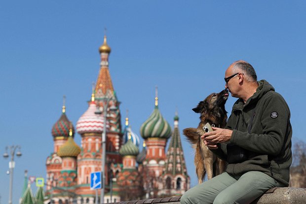 Вводная картинка