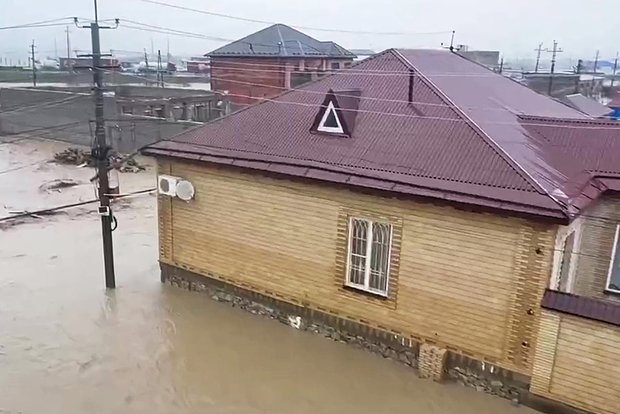 Вводная картинка