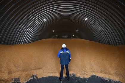 Страна НАТО резко нарастила импорт российской кукурузы