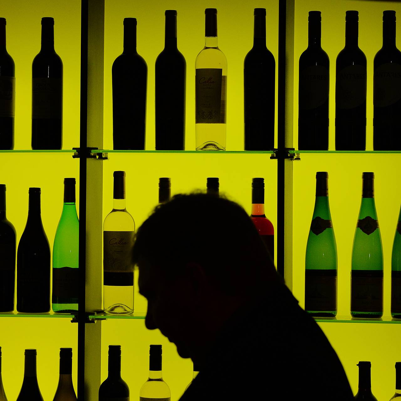 Раскрыт механизм передачи привычки к алкоголю от родителей детям