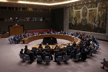 Лидер страны БРИКС призвал к реформе Совбеза ООН