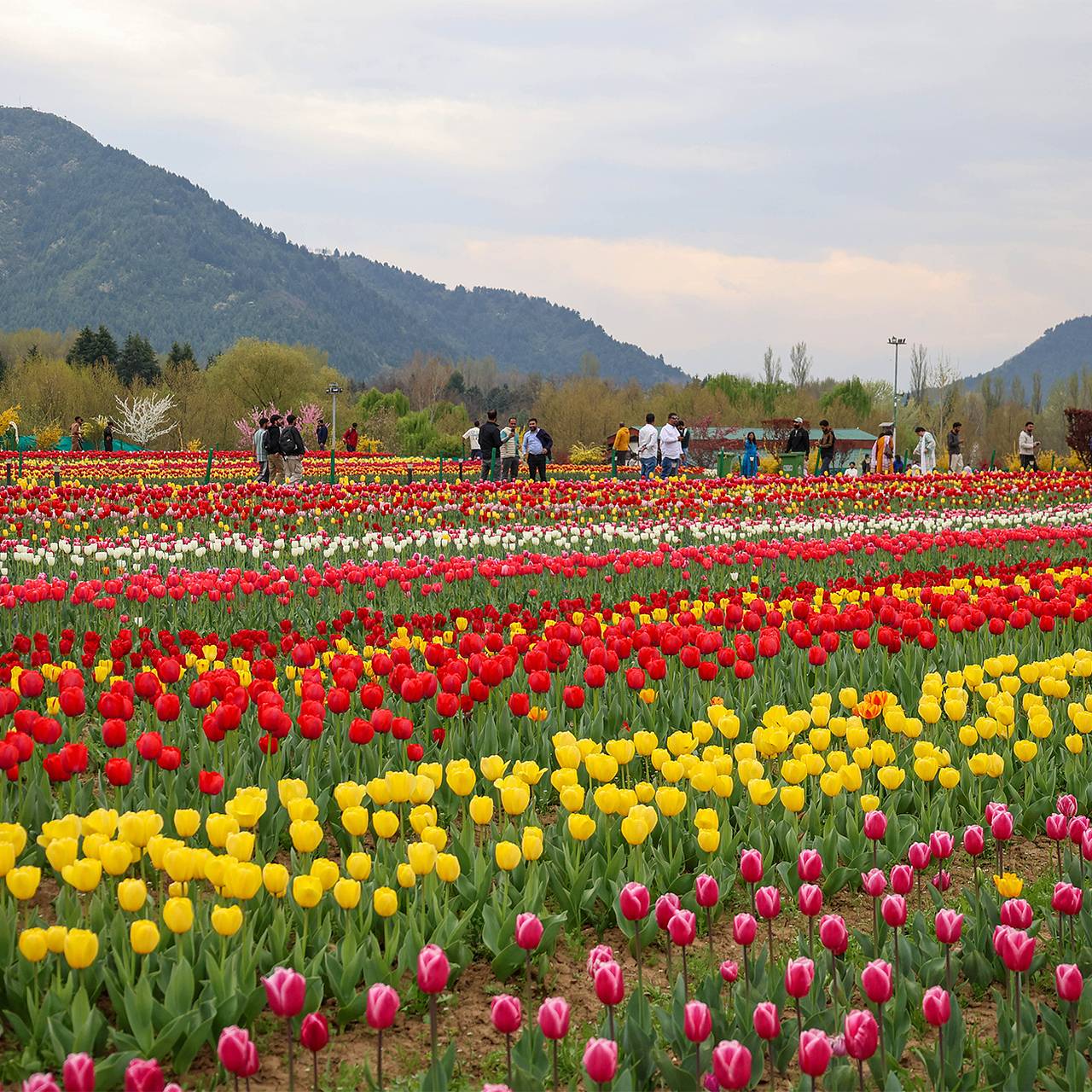 Безвиз для туристических групп в Индию описали словами &laquo;бума не вызовет&raquo;