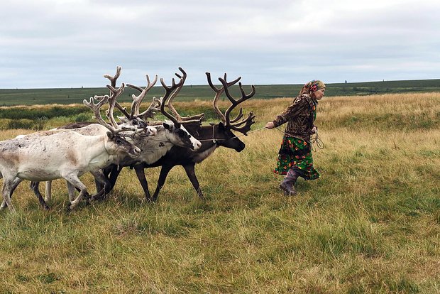 Вводная картинка