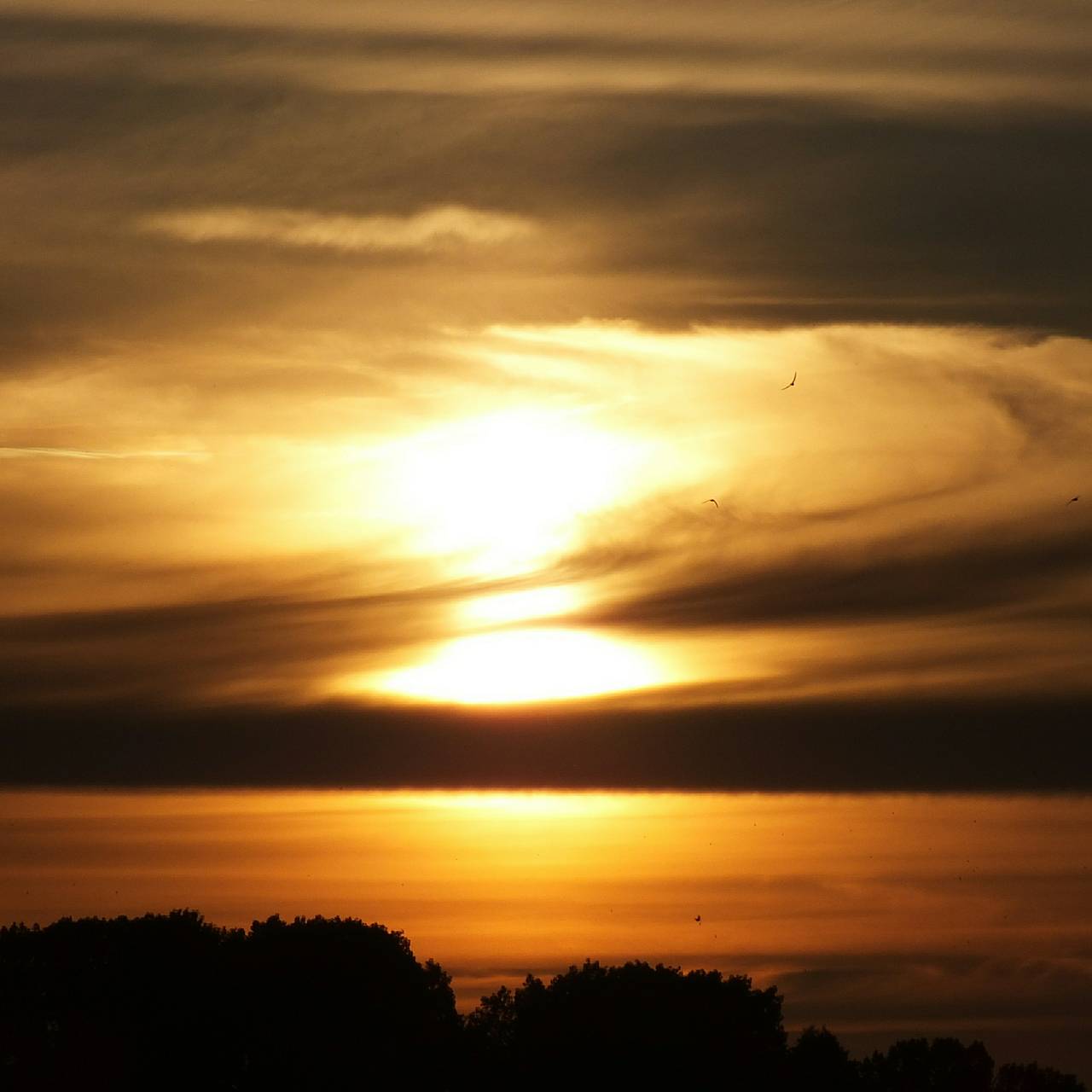 Ученые оценили влияние мощной солнечной вспышки на Землю