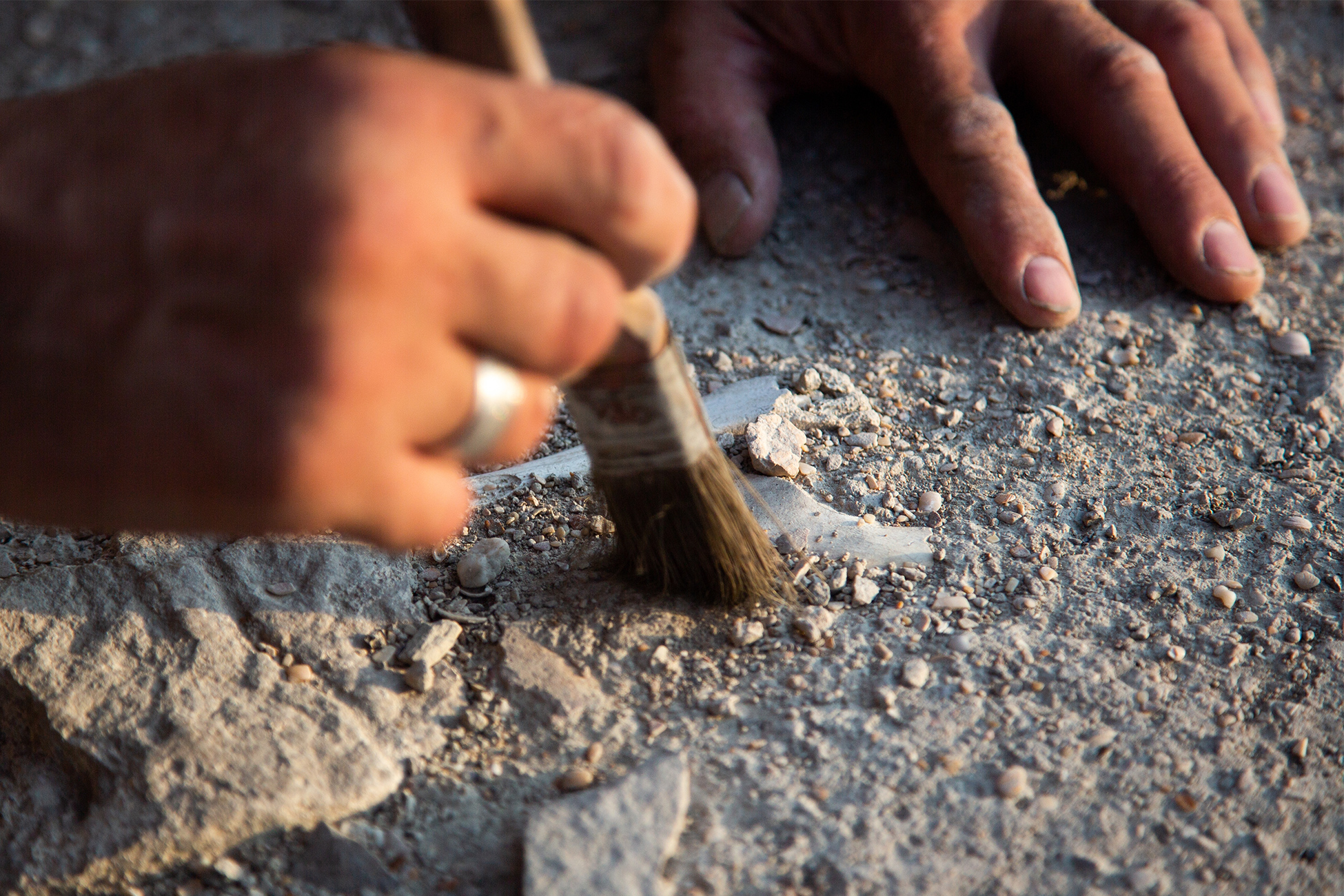 �������&nbsp; ������� ������ � 89 ������ � ����������