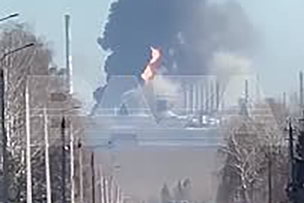 Вводная картинка