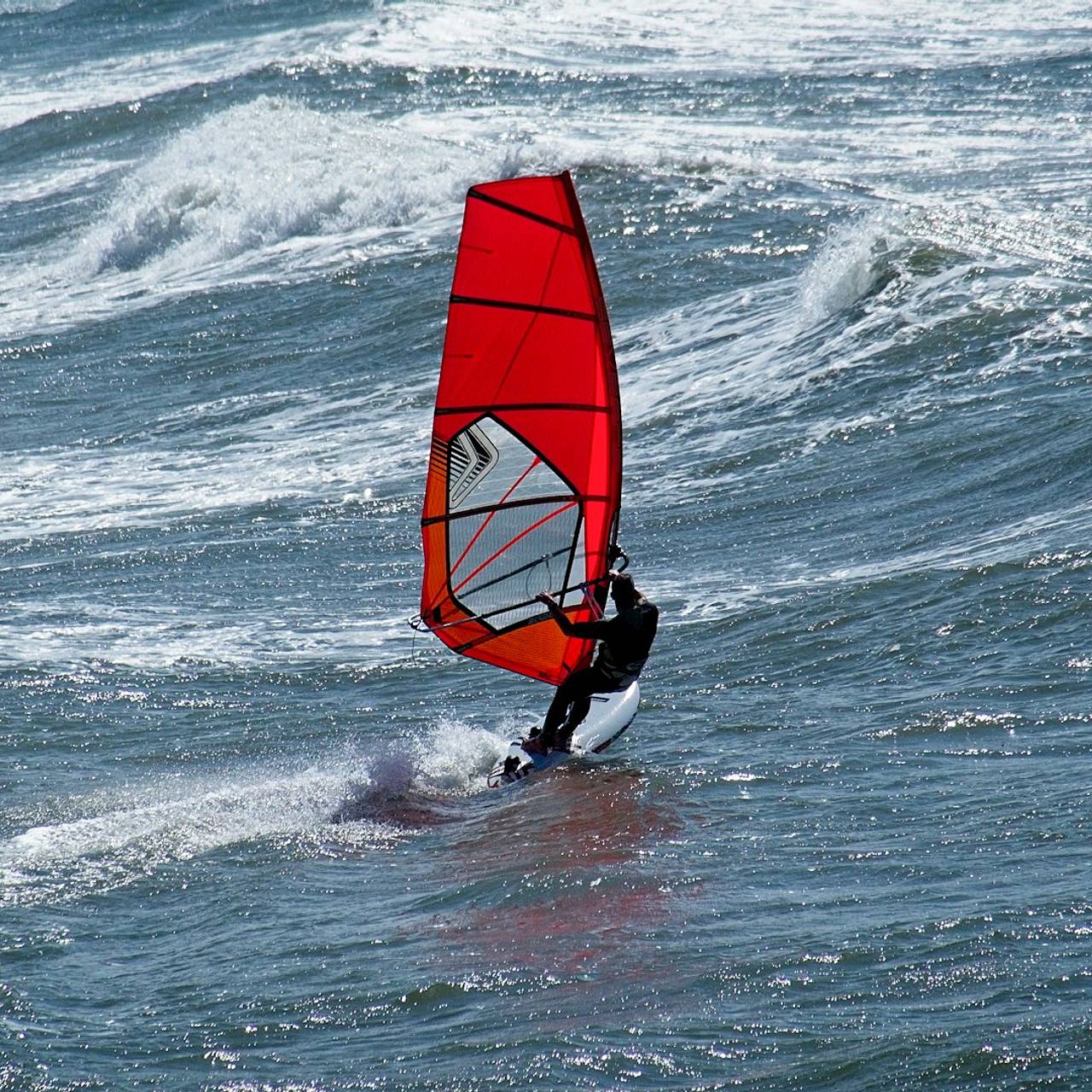Кит столкнулся с человеком